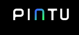 Pintu